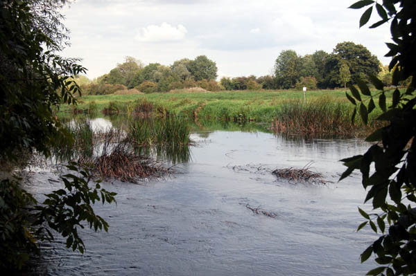 river at Bromham Bridge Sep 2007